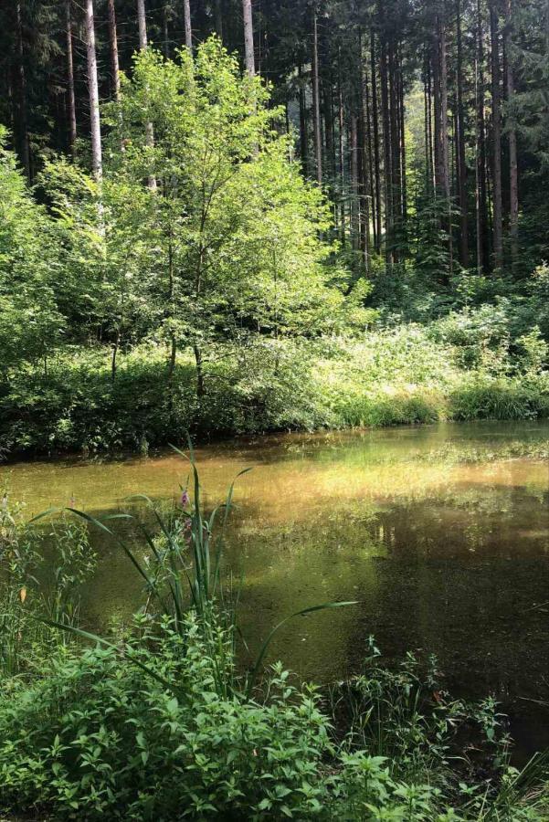 Appartamento Apartma Lupis Podvolovljek Esterno foto