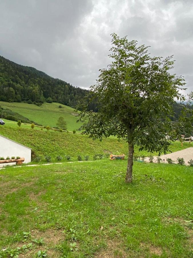 Appartamento Apartma Lupis Podvolovljek Esterno foto