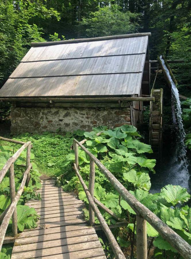 Appartamento Apartma Lupis Podvolovljek Esterno foto