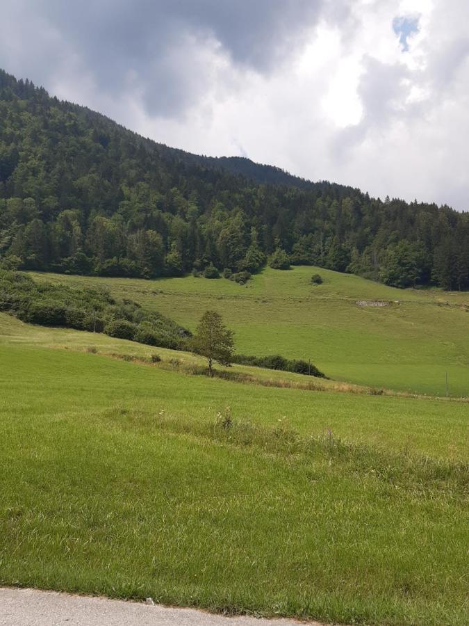 Appartamento Apartma Lupis Podvolovljek Esterno foto