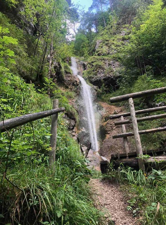 Appartamento Apartma Lupis Podvolovljek Esterno foto